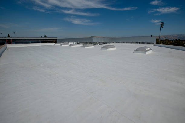 Best Roof Coating and Sealing  in Mcdonough, GA