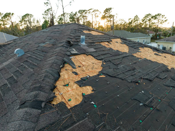 Best Roof Insulation Installation  in Mcdonough, GA